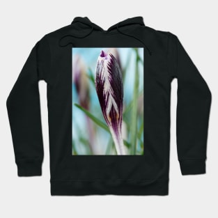 Crocus  'Spring Beauty' Hoodie